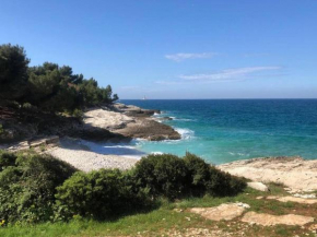 Apartment Two Olives, Free Parking, Close to Beaches & Park